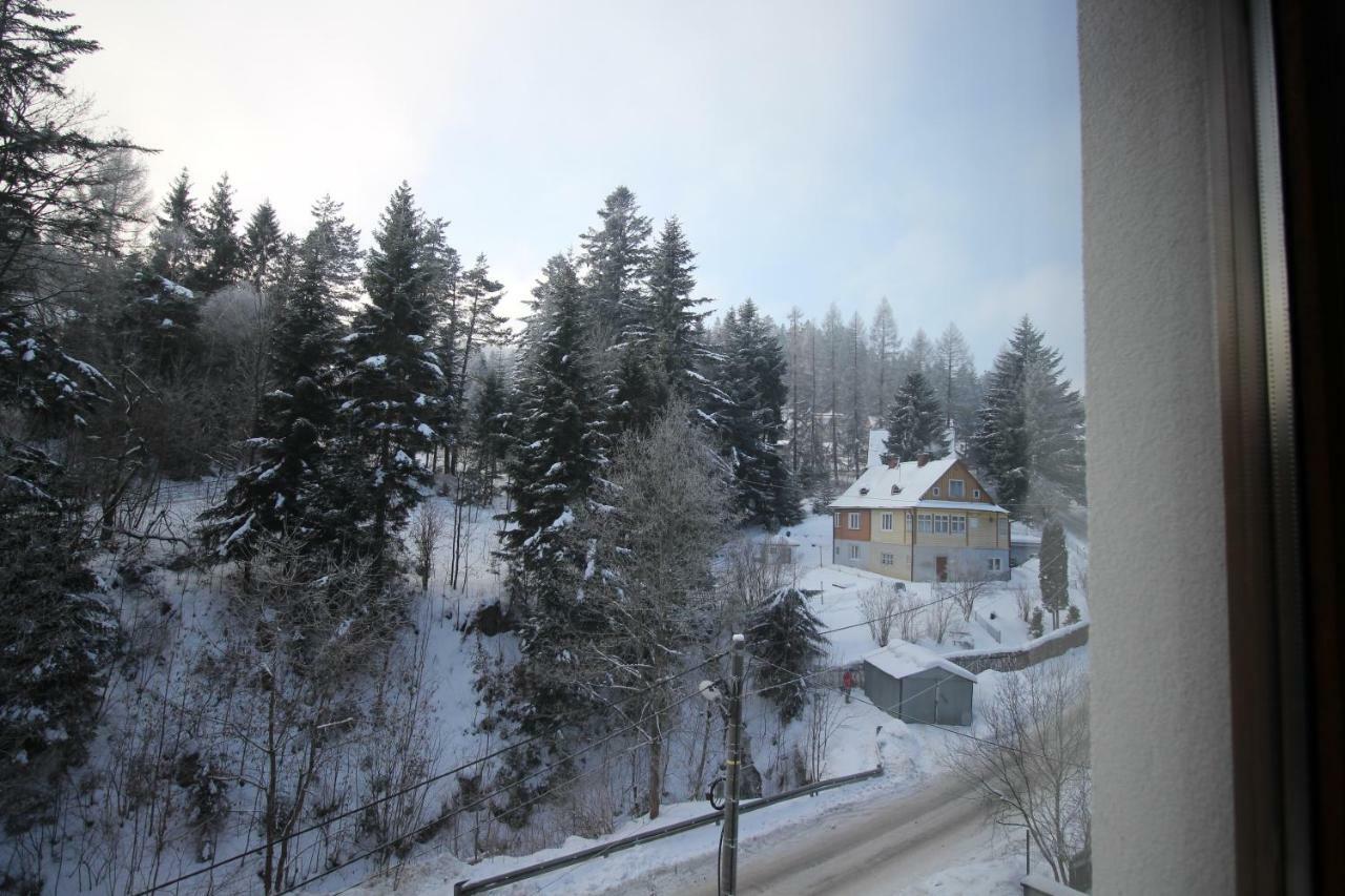 Apartament Zielona Krynica Zdroj Luaran gambar